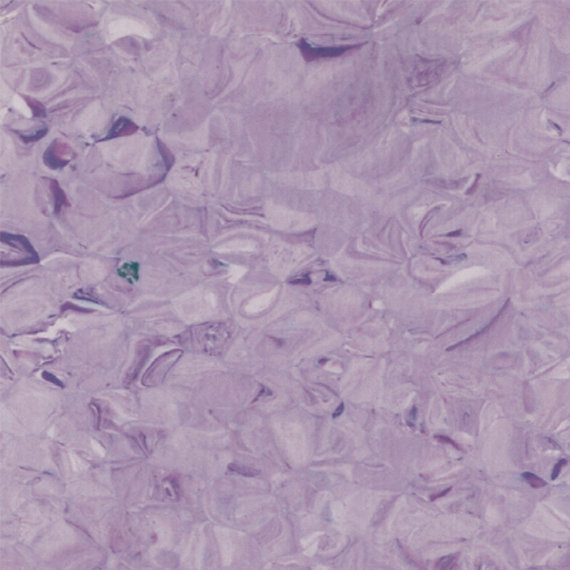 homogent golv med perfekt balans