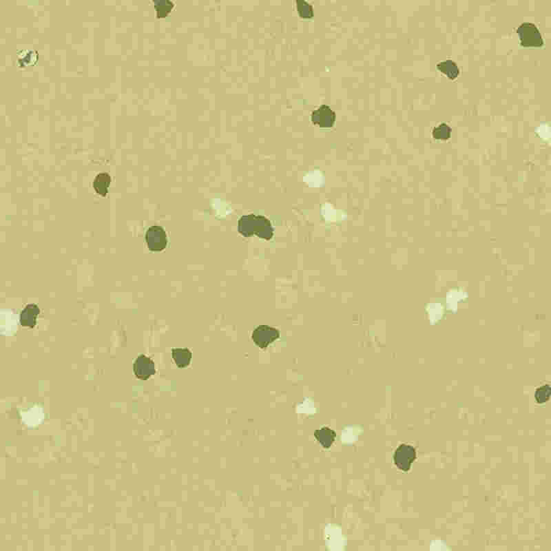 Reptåligt och högelastiskt gummigolv