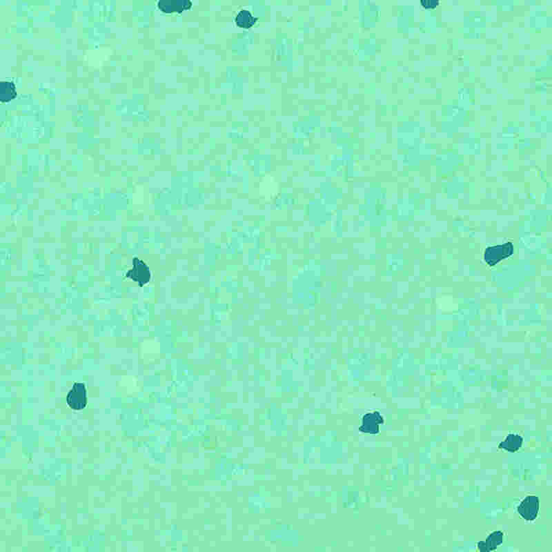 Reptåligt och högelastiskt gummigolv