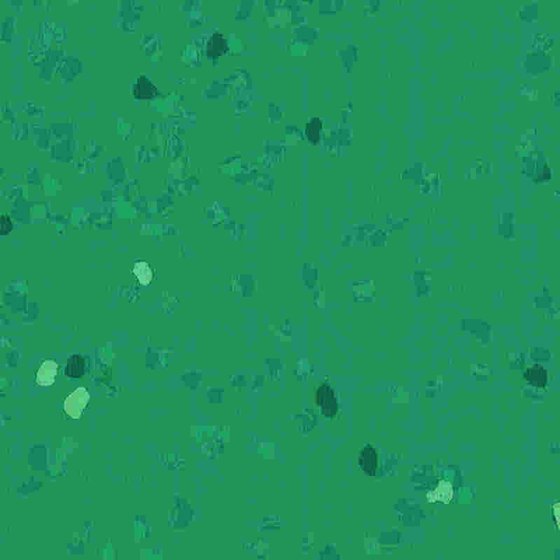 Reptåligt och högelastiskt gummigolv