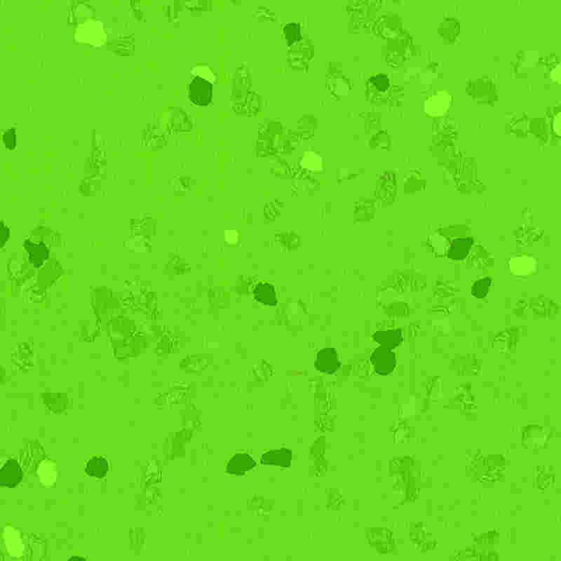 Reptåligt och högelastiskt gummigolv