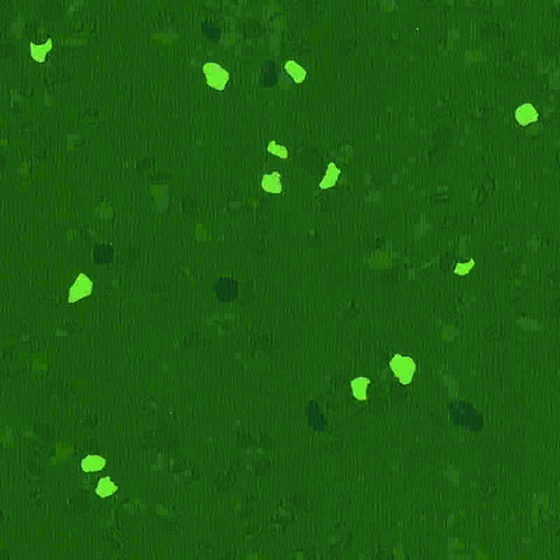 Reptåligt och högelastiskt gummigolv