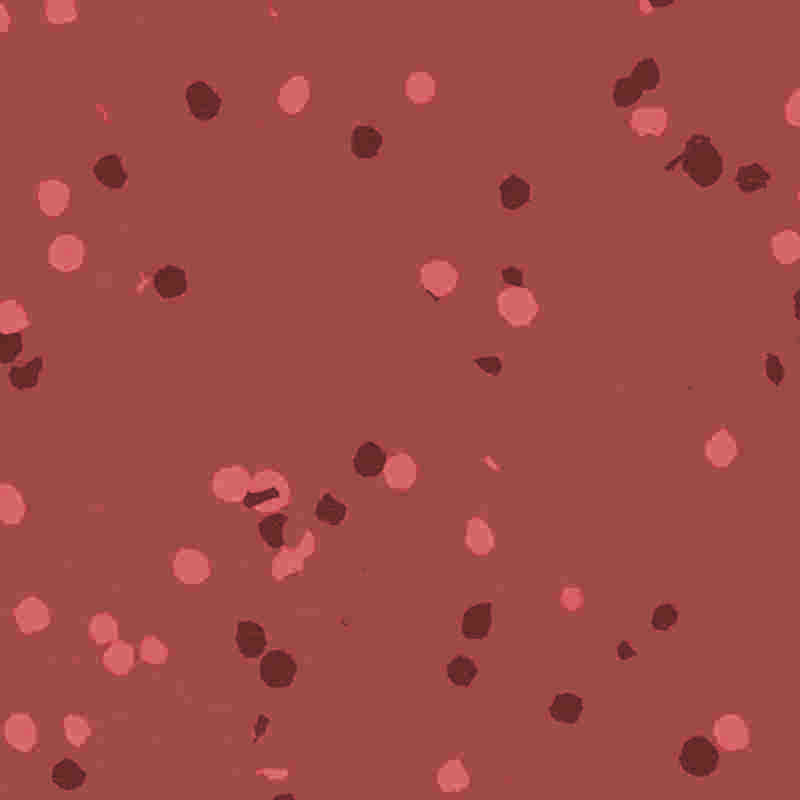 Flamskyddande och vattentäta gummi- och plastgolv