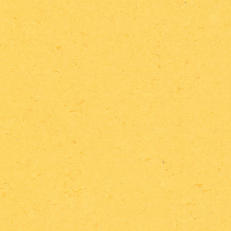 Olika stilar och eleganta homogena golv